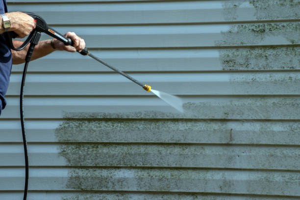 Best Gutter Cleaning  in North Patchogue, NY